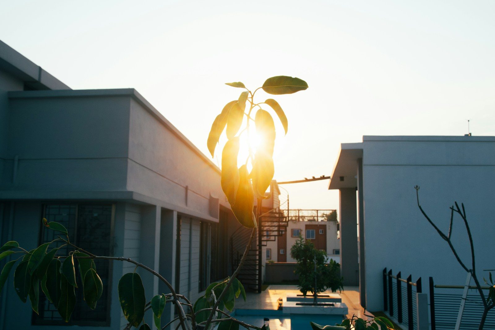 How Bern Solar Service Is Quietly Changing City Energy Use