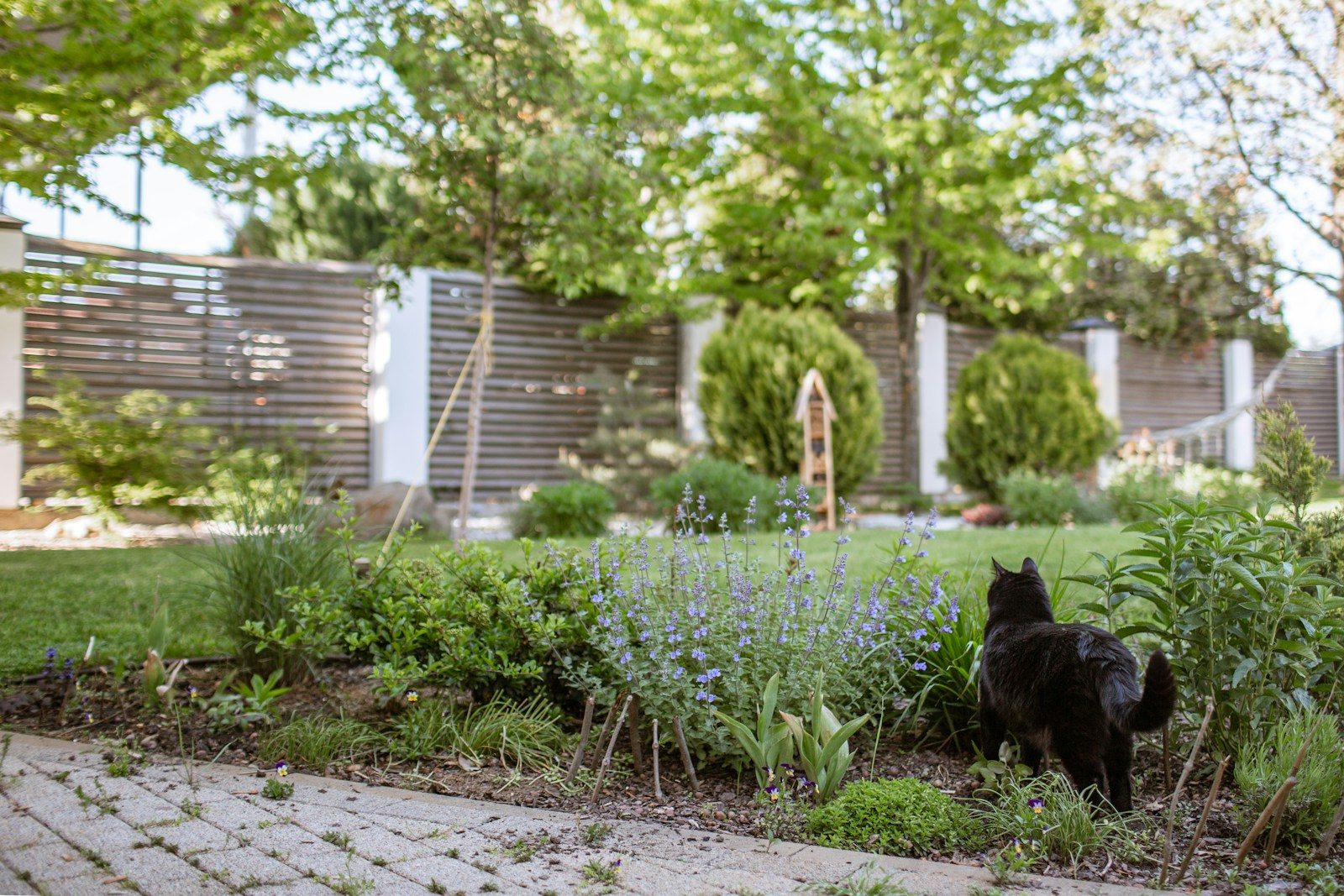 A Beginner’s Guide to Mastering Gardening in Ticino’s Microclimates